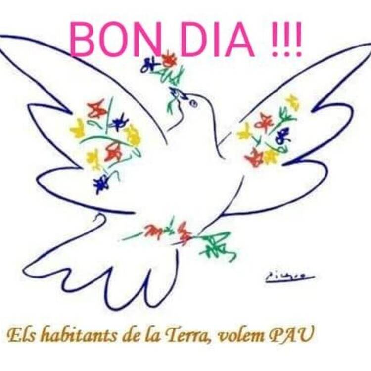 Foto de perfil de Rosalia
