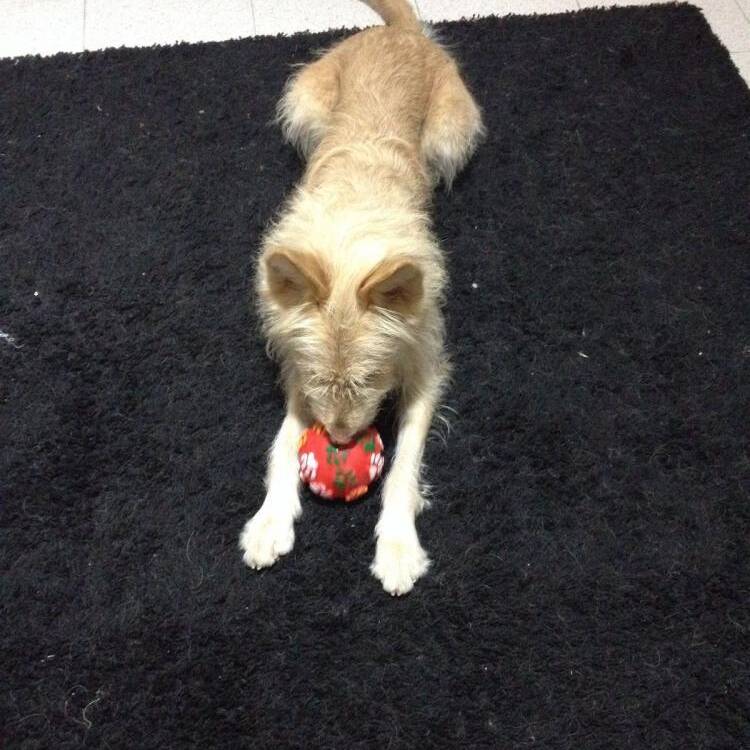 Foto de perfil de Luz y sascha