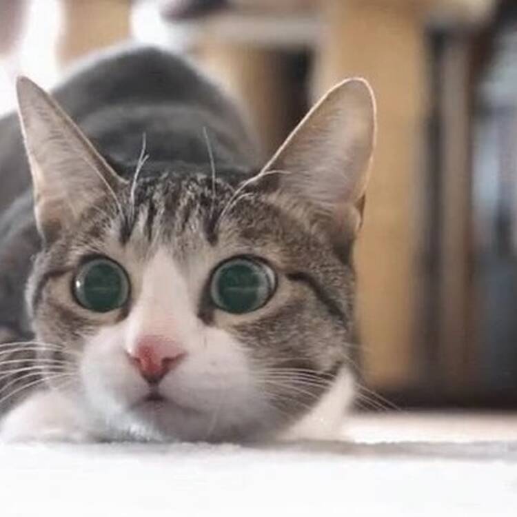 Foto de perfil de RubenP