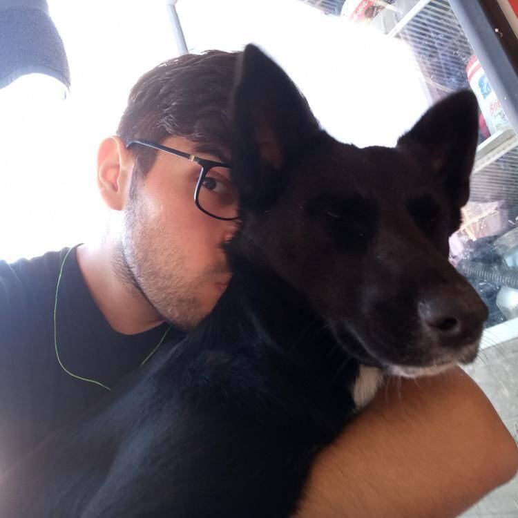 Foto de perfil de Luis Tarifeño