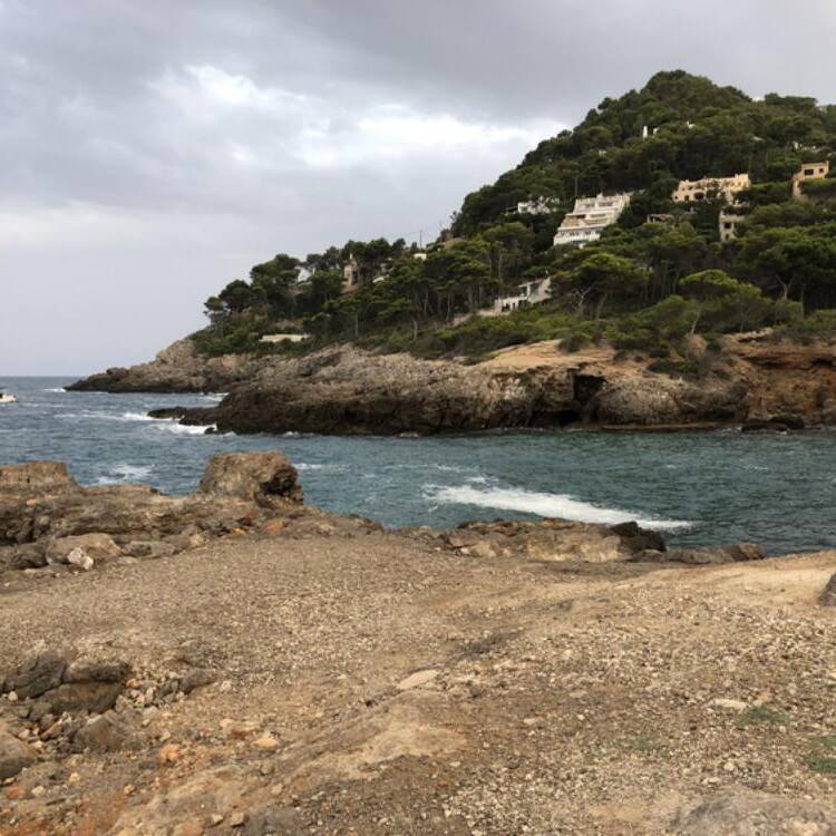 Foto de perfil de Montse