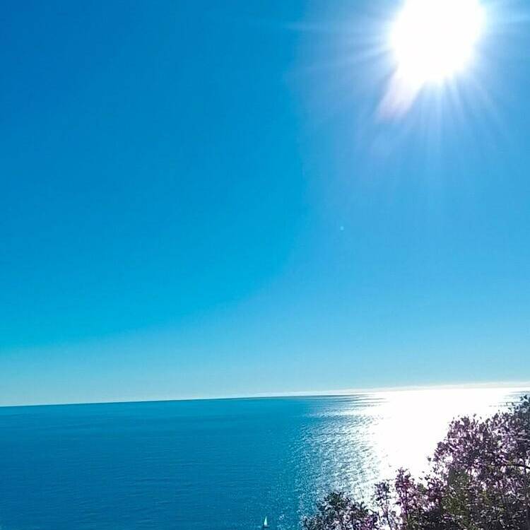 Foto de perfil de Gloria