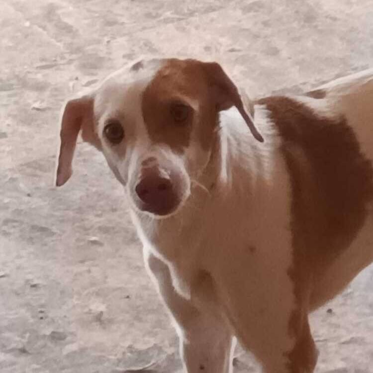 Foto de perfil de Pe gomez