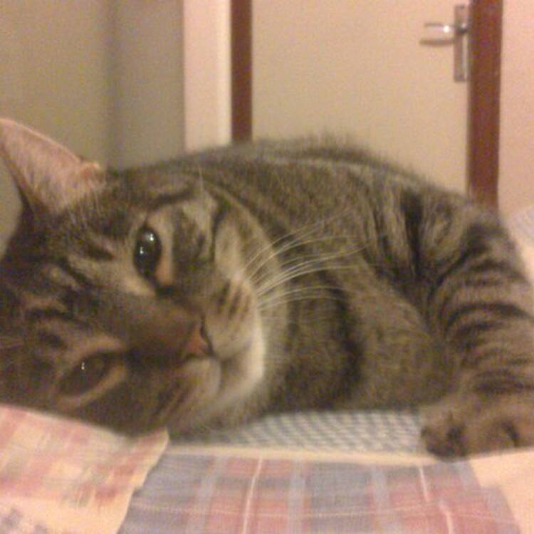 Foto de perfil de Maria alex