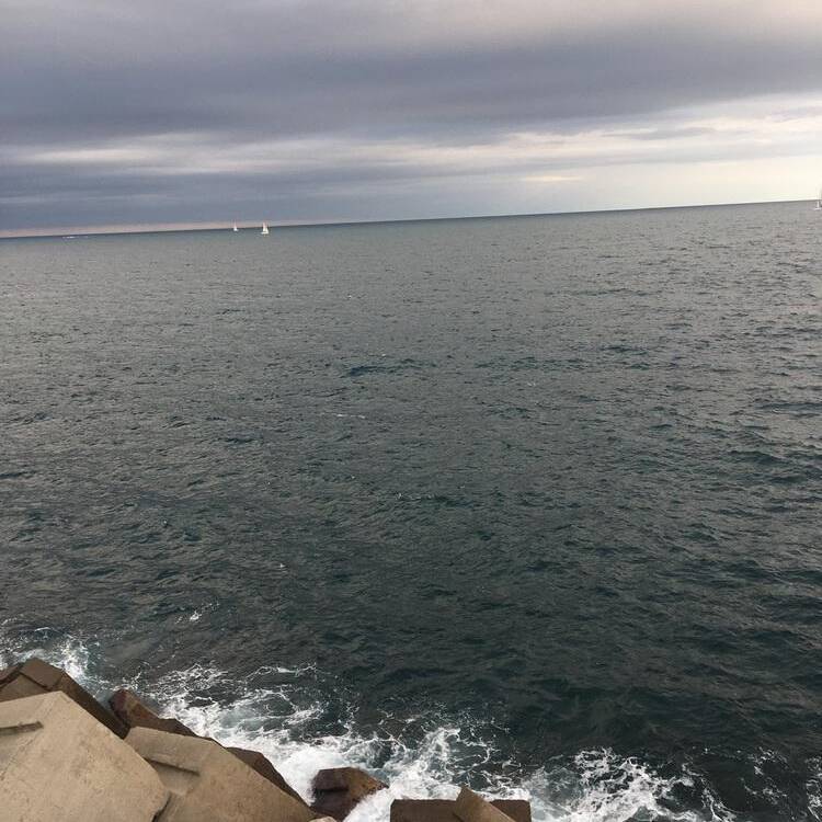 Foto de perfil de Ann