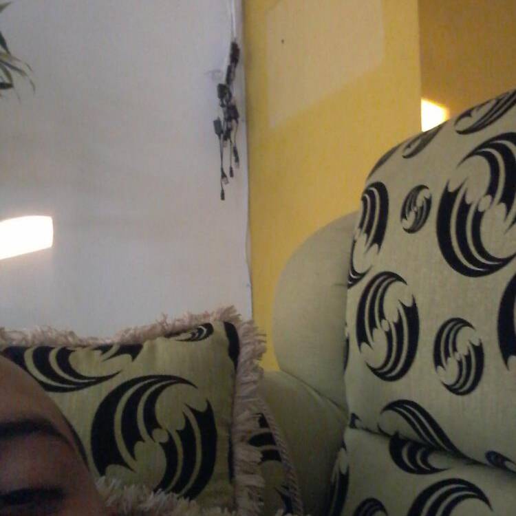 Foto de perfil de Andres