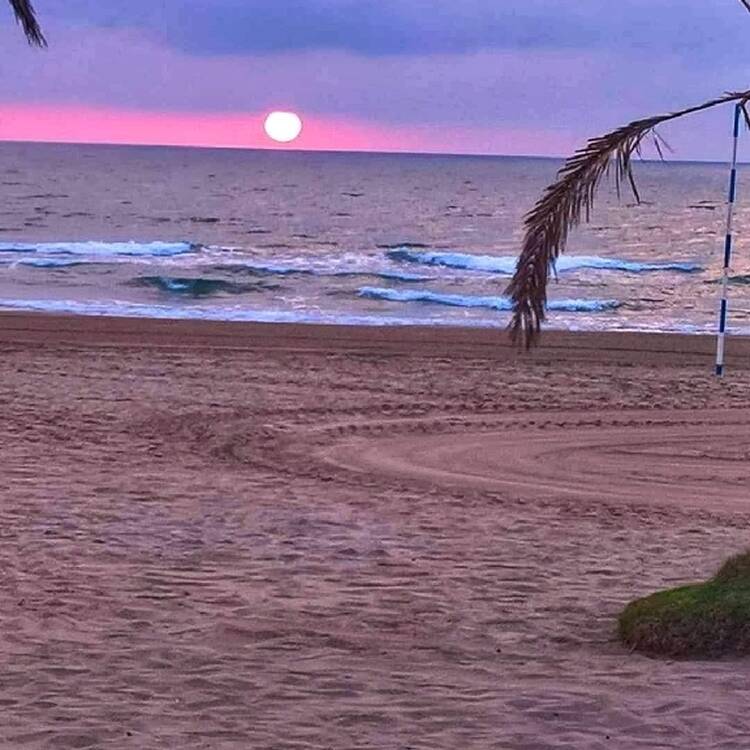 Foto de perfil de Begoña