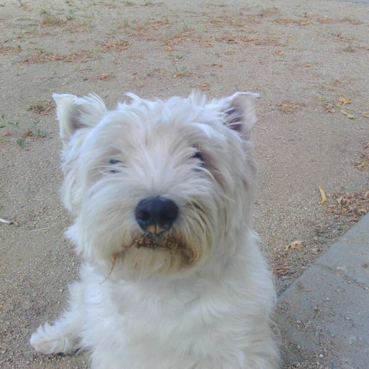 Foto de perfil de Carlos