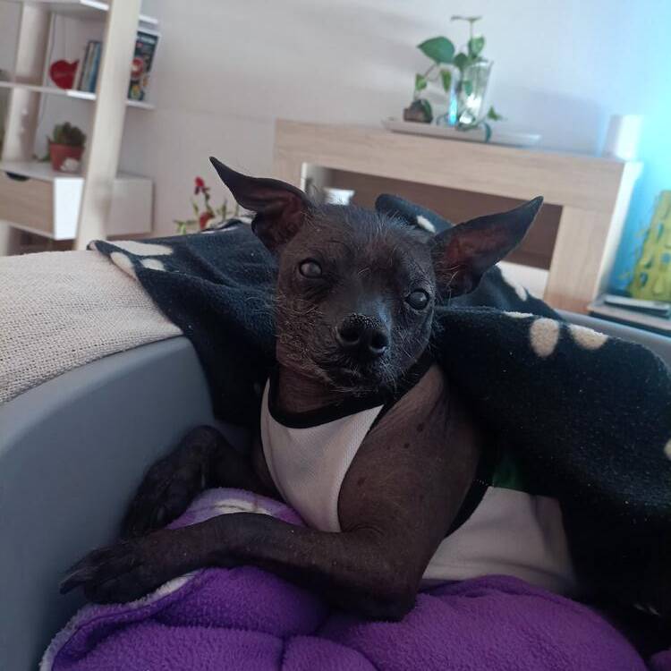 Foto de perfil de Alicia