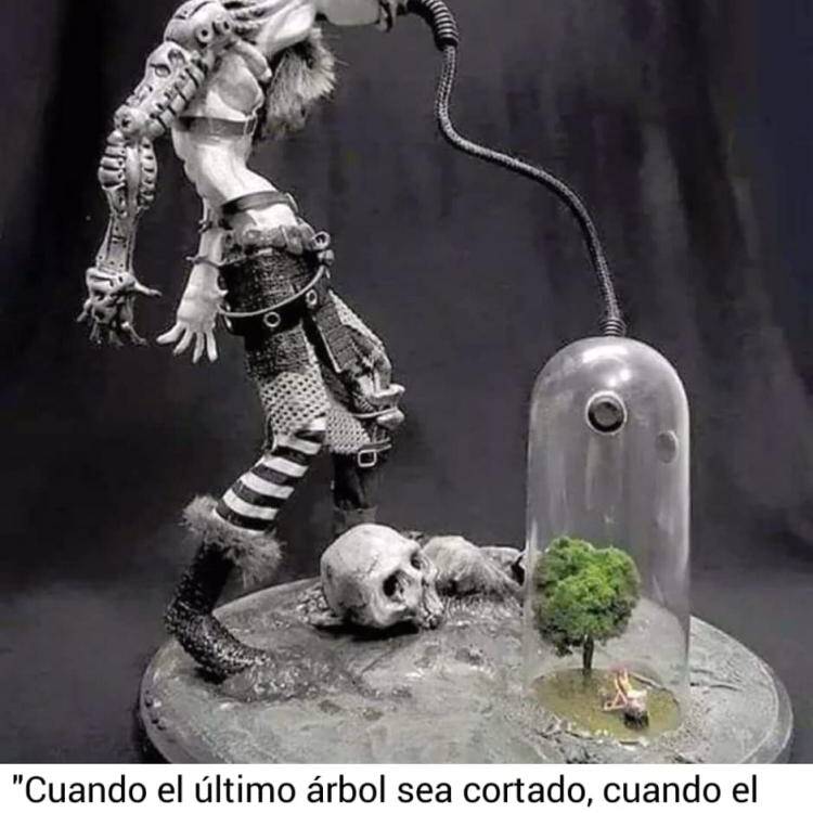 Foto de perfil de Carlos 234