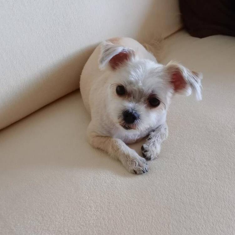 Foto de perfil de Paloma