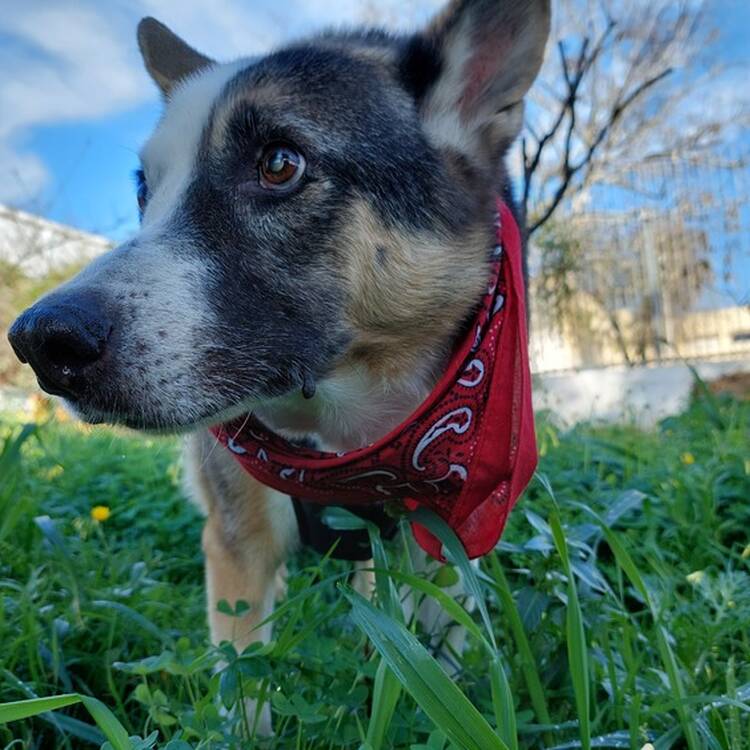Foto de perfil de Carolina
