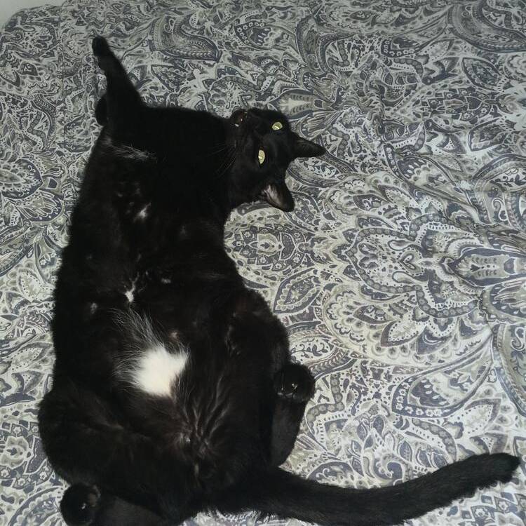 Foto de perfil de Lidia