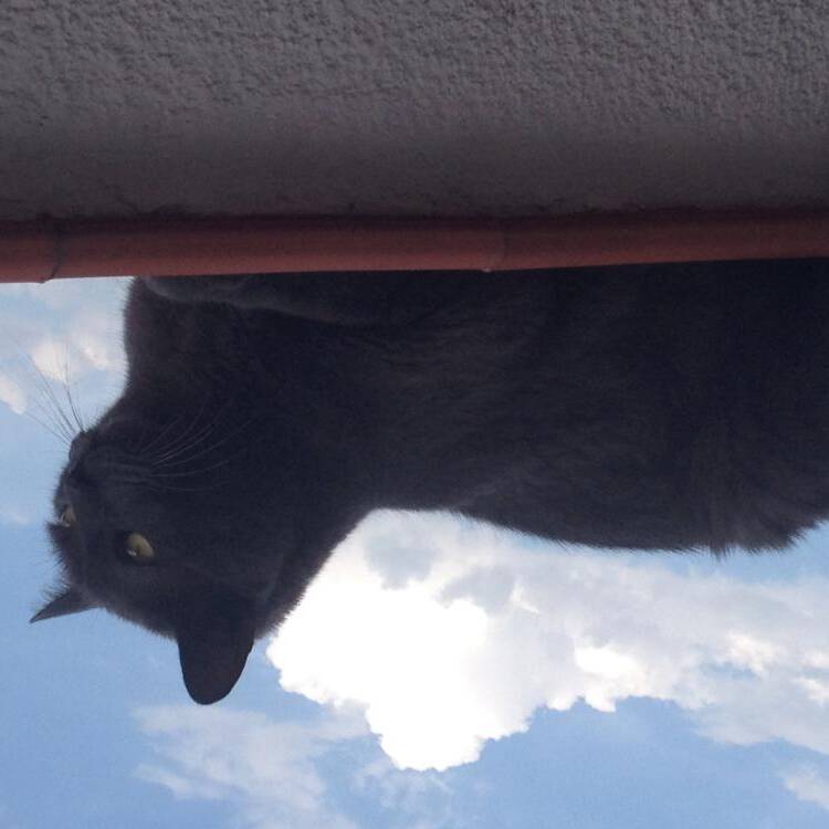 Foto de perfil de jaime