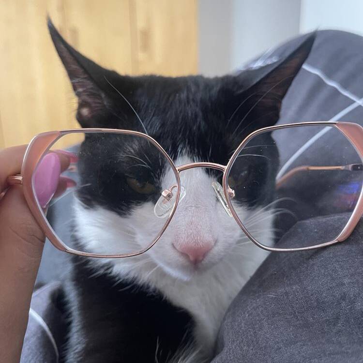 Foto de perfil de Lamyae