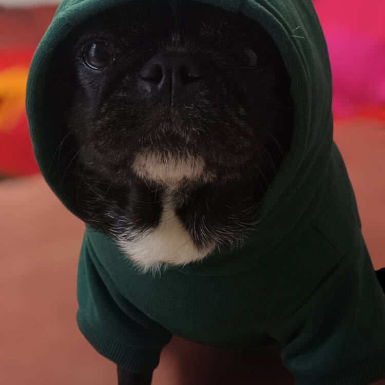 Foto de perfil de Cristian