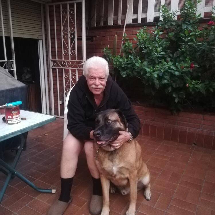 Foto de perfil de CARLOS