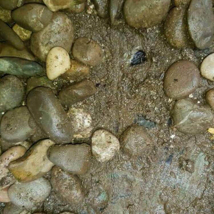 Foto de perfil de Ainos