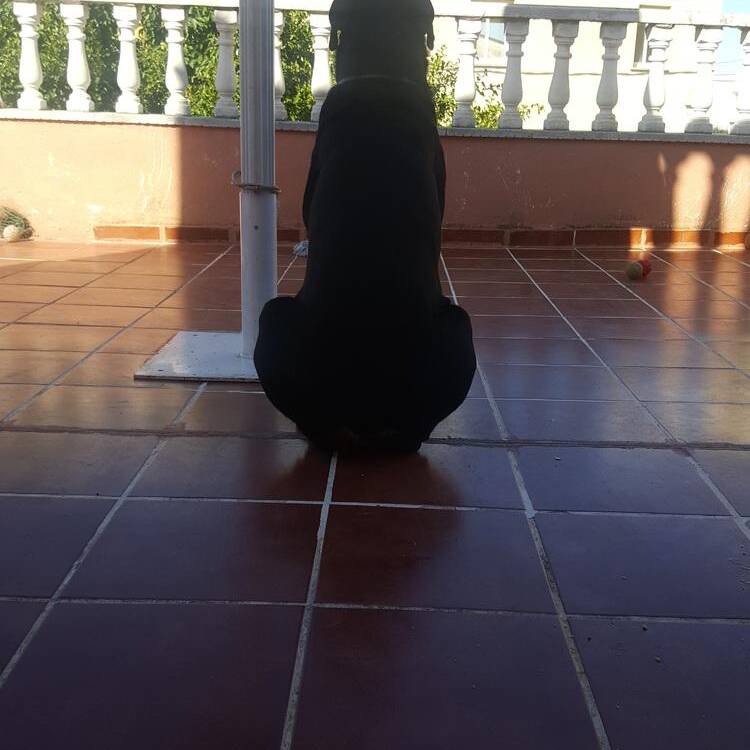 Foto de perfil