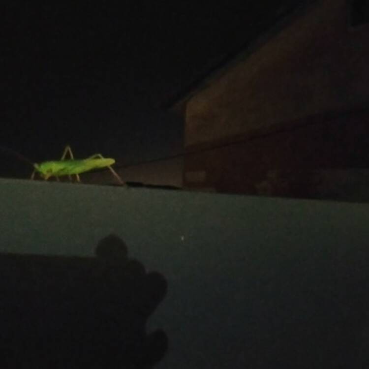 Foto de perfil de M