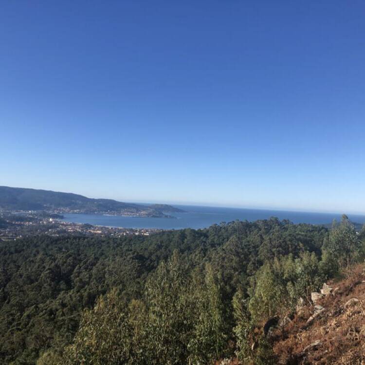 Foto de perfil de Paz