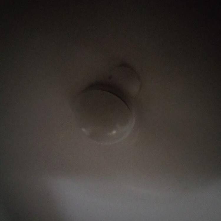 Foto de perfil de Adam