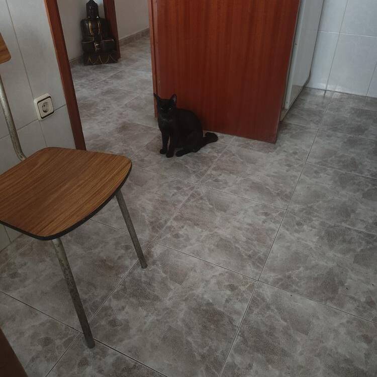 Foto de perfil de Xavi