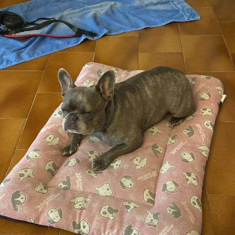 Foto de perfil de Merri