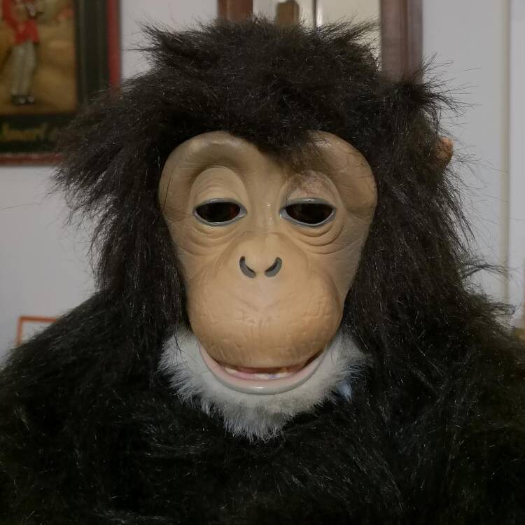 Foto de perfil de YO