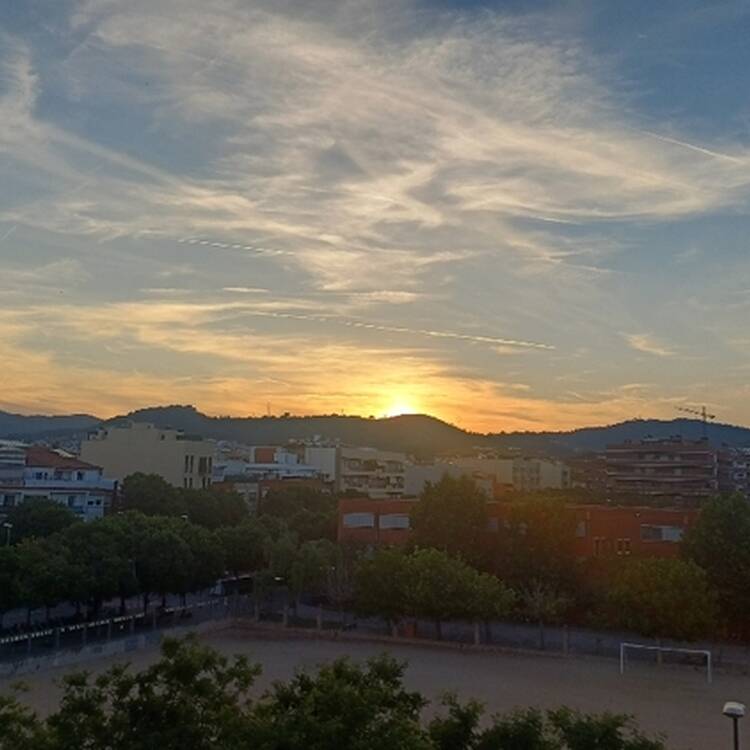 Foto de perfil de Silvia
