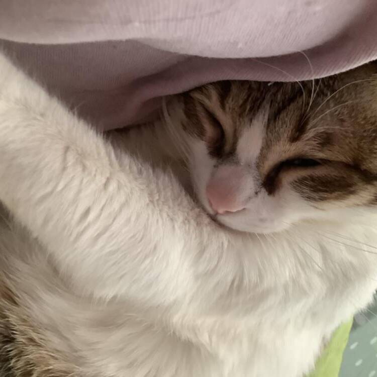 Foto de perfil de Patri