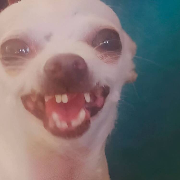 Foto de perfil