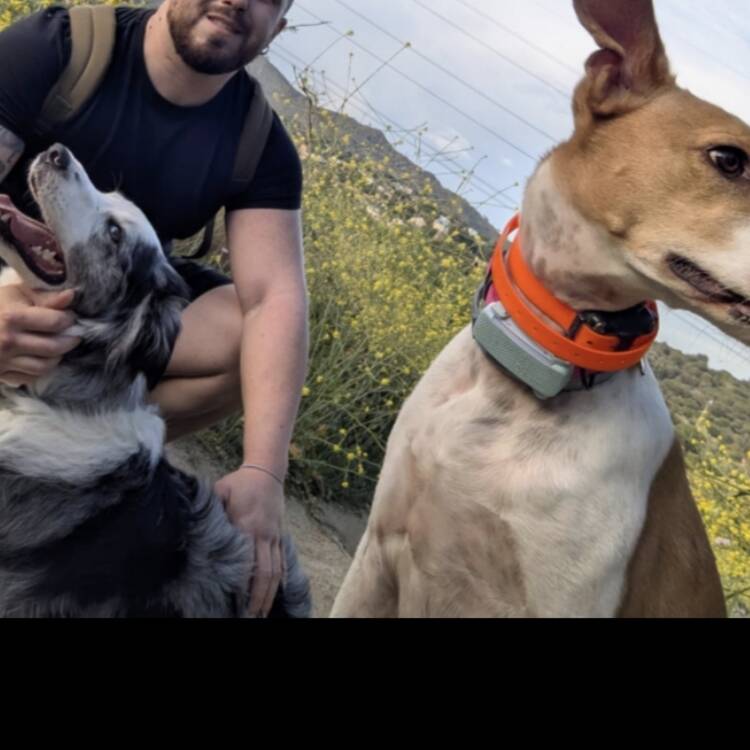 Foto de perfil