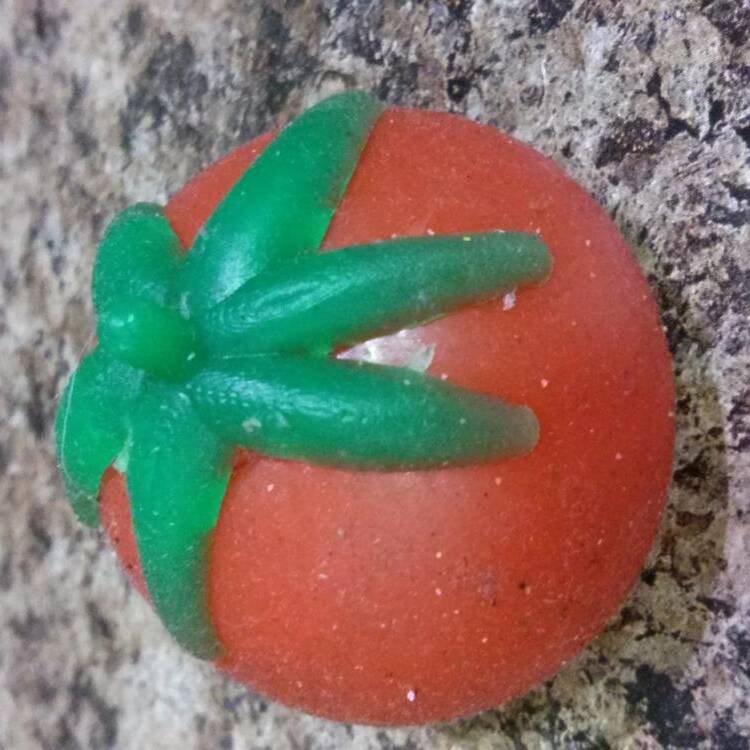 Foto de perfil de Adolfoyolga