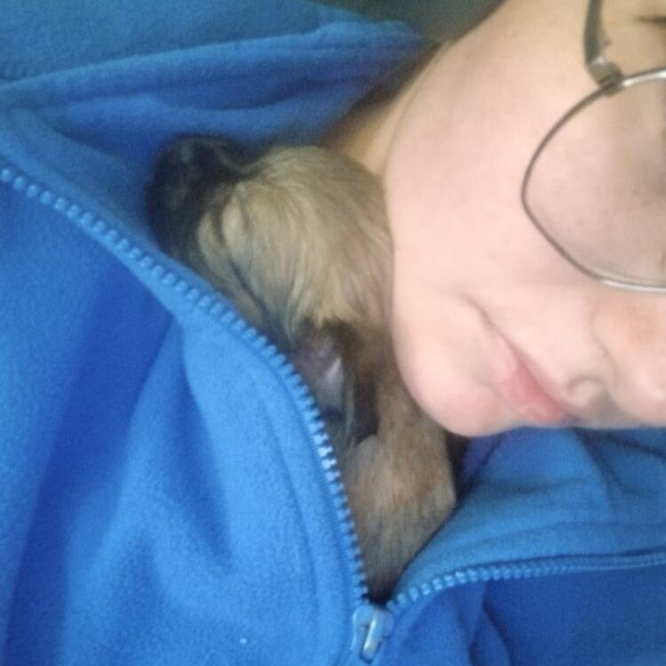 Foto de perfil