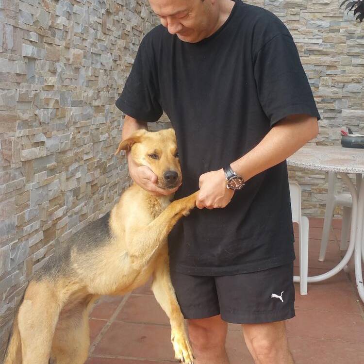 Foto de perfil de Jesus