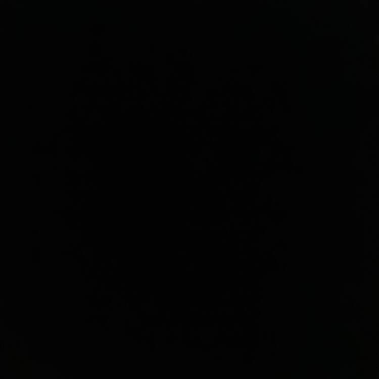 Foto de perfil de Pedro