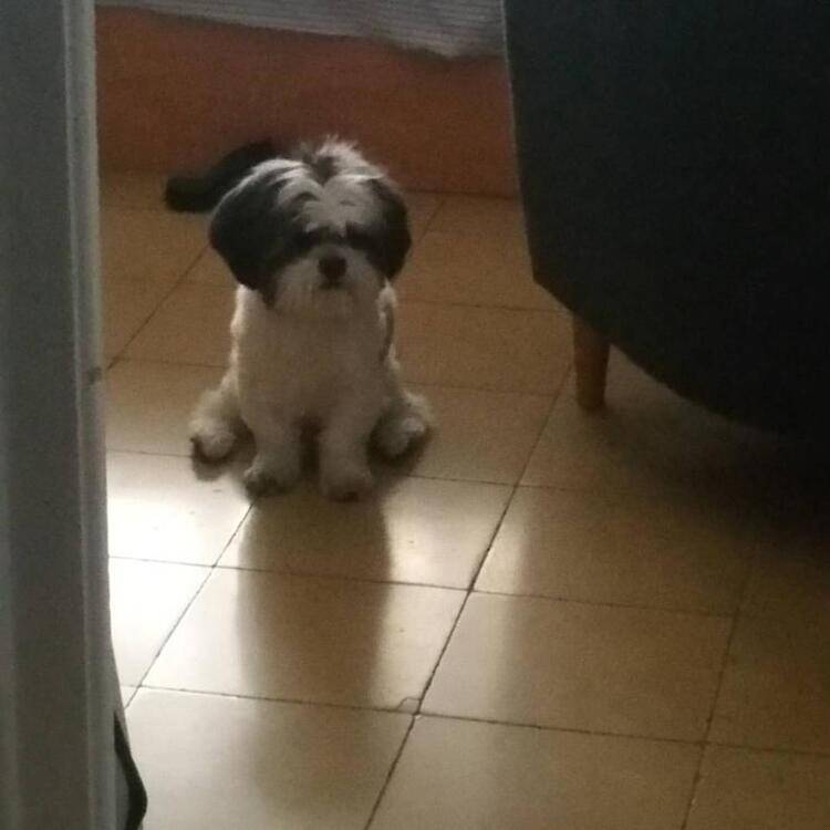 Foto de perfil de Alex