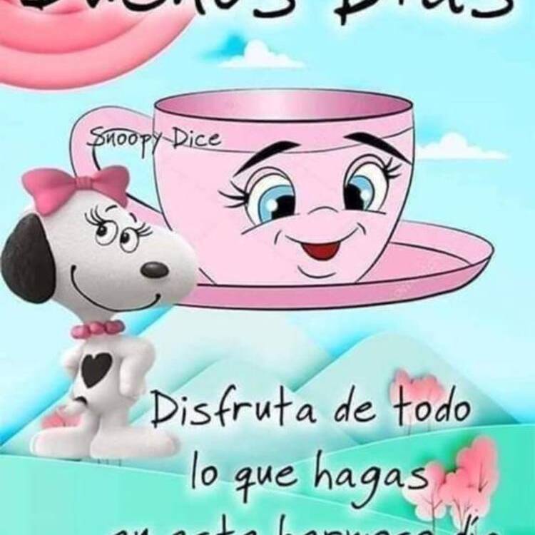 Foto de perfil de Montse