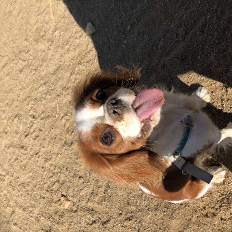 Foto de perfil de Esther