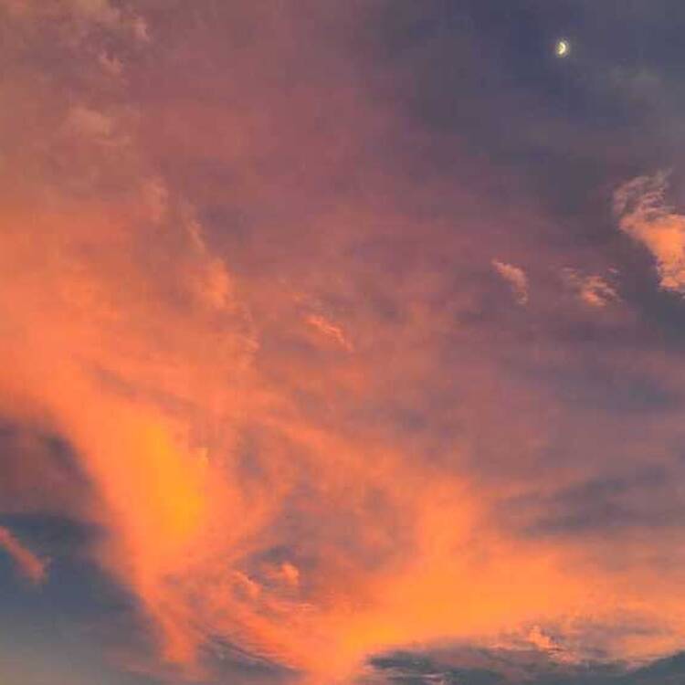 Foto de perfil de Genesis