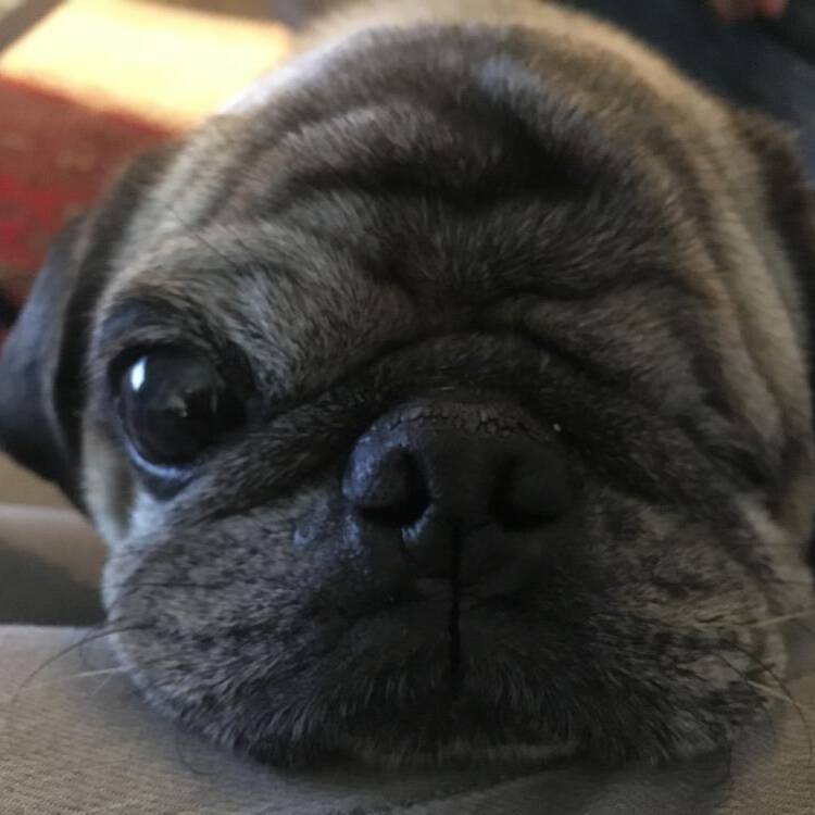 Foto de perfil de sara