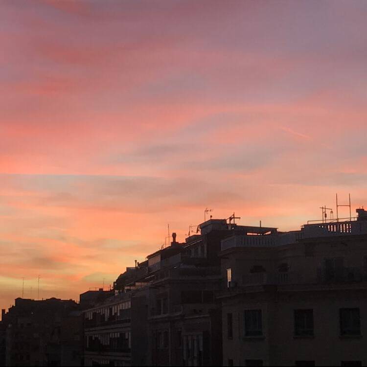 Foto de perfil de Carmen