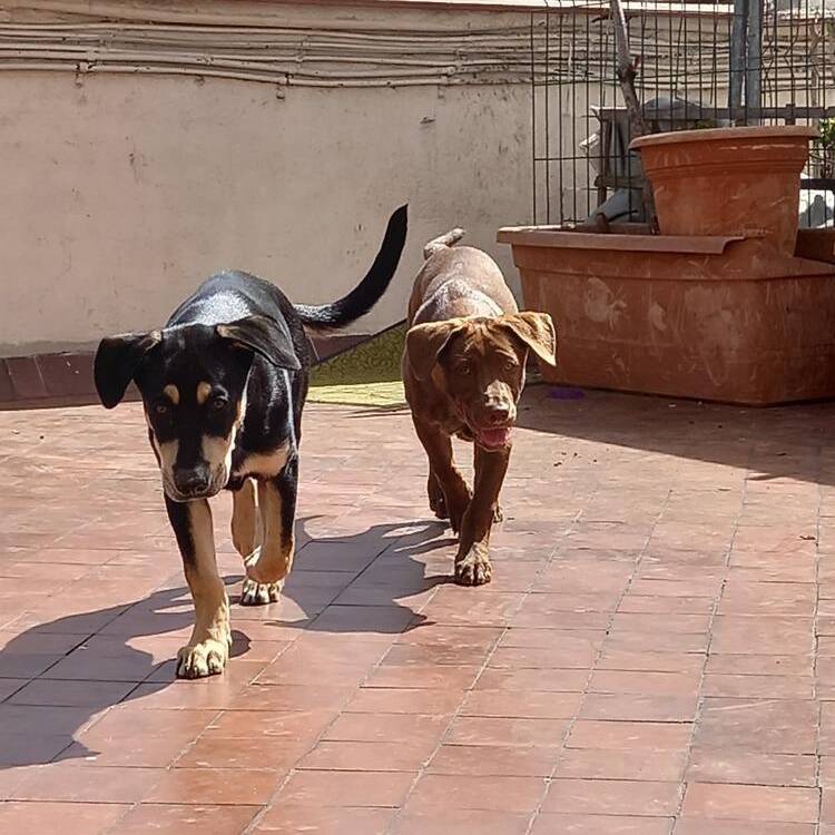 Foto de perfil de oscar