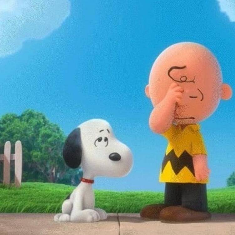 Foto de perfil de Franc Farias