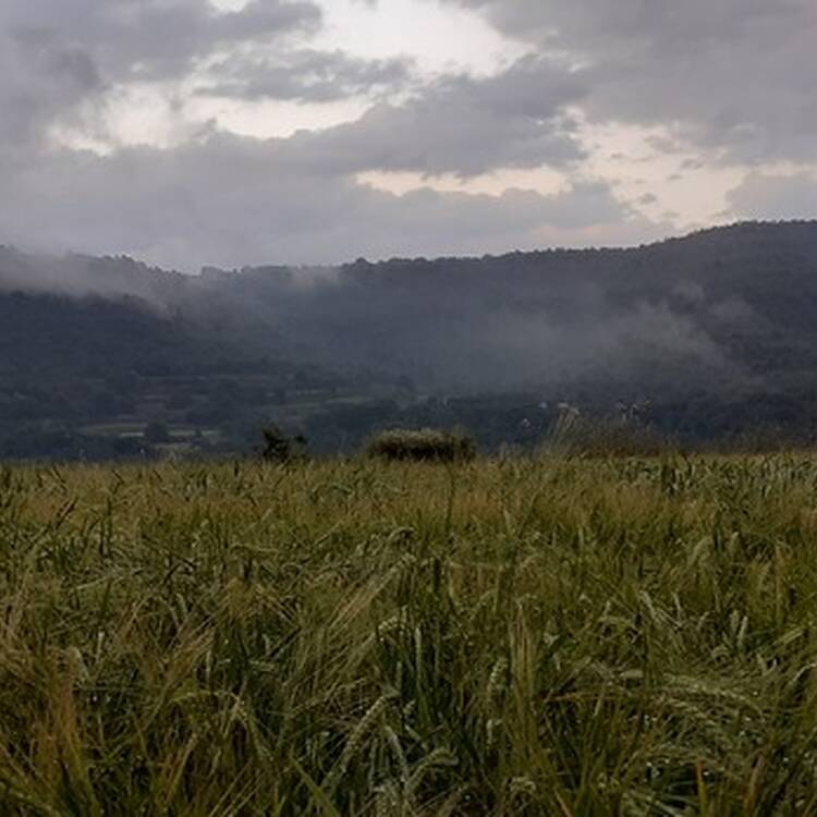 Foto de perfil de Constantino