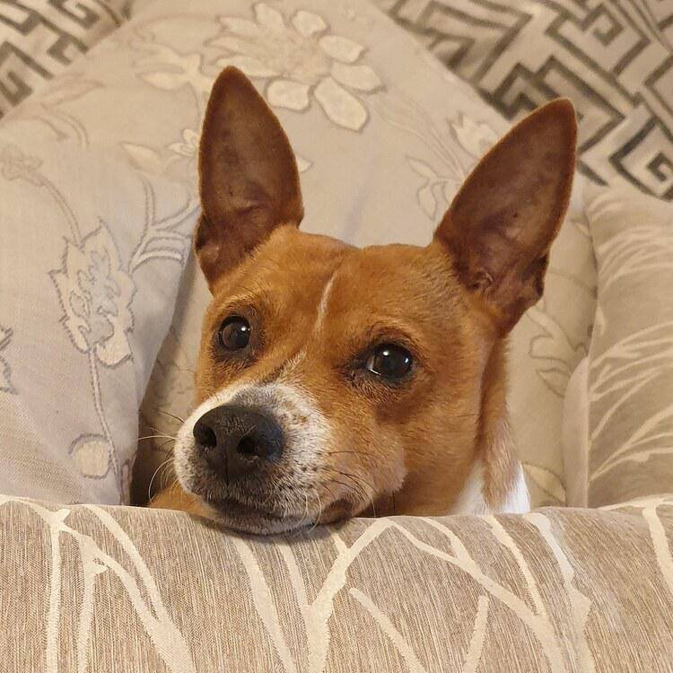 Foto de perfil de Grisi