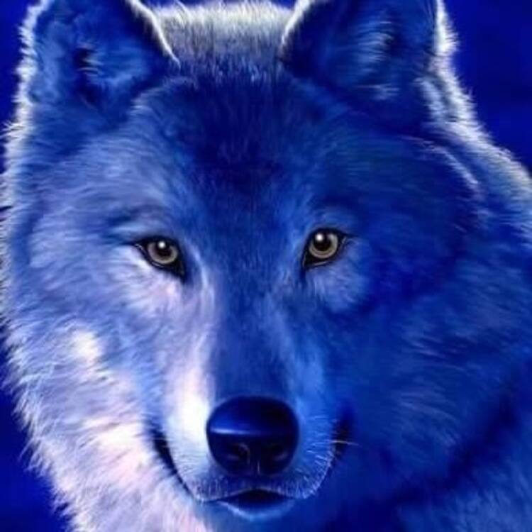 Foto de perfil de edmon