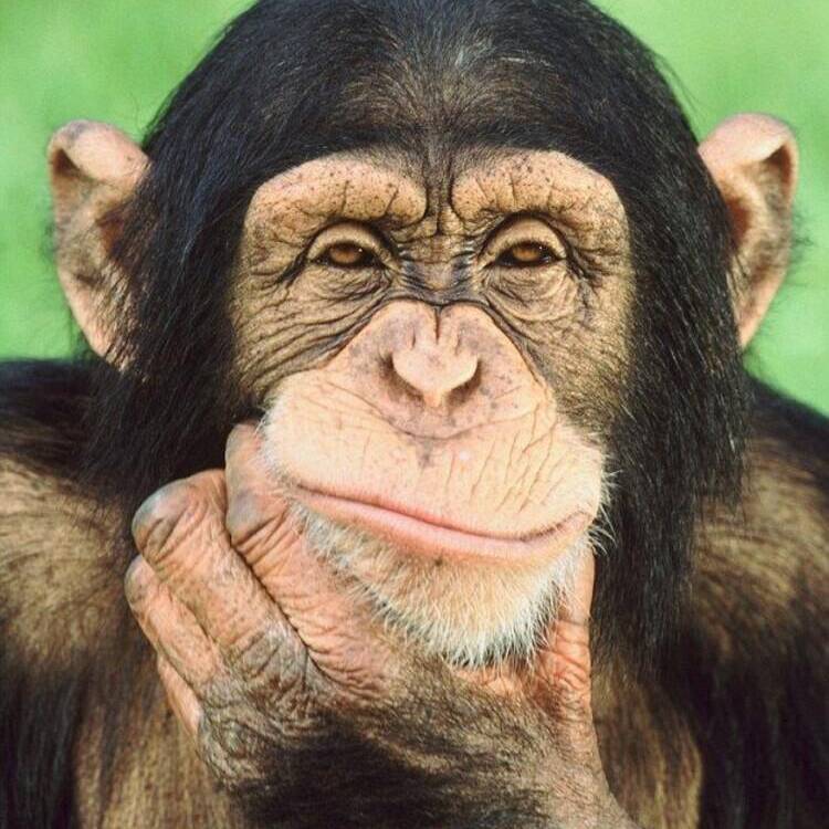 Foto de perfil de gian carlo