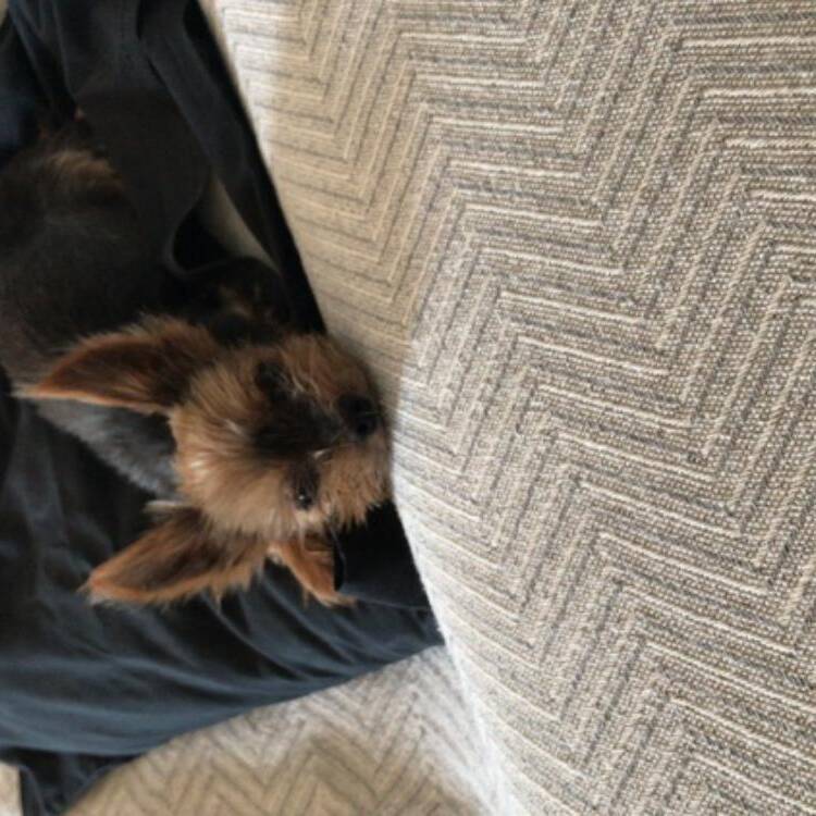 Foto de perfil de Ainara